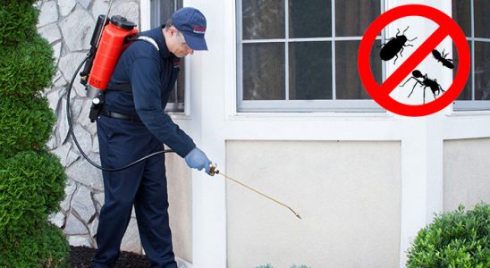 Anamur Akrep İlaçlama böcek ilaçlama ve haşere kontrolü — ilaclama-tr.com